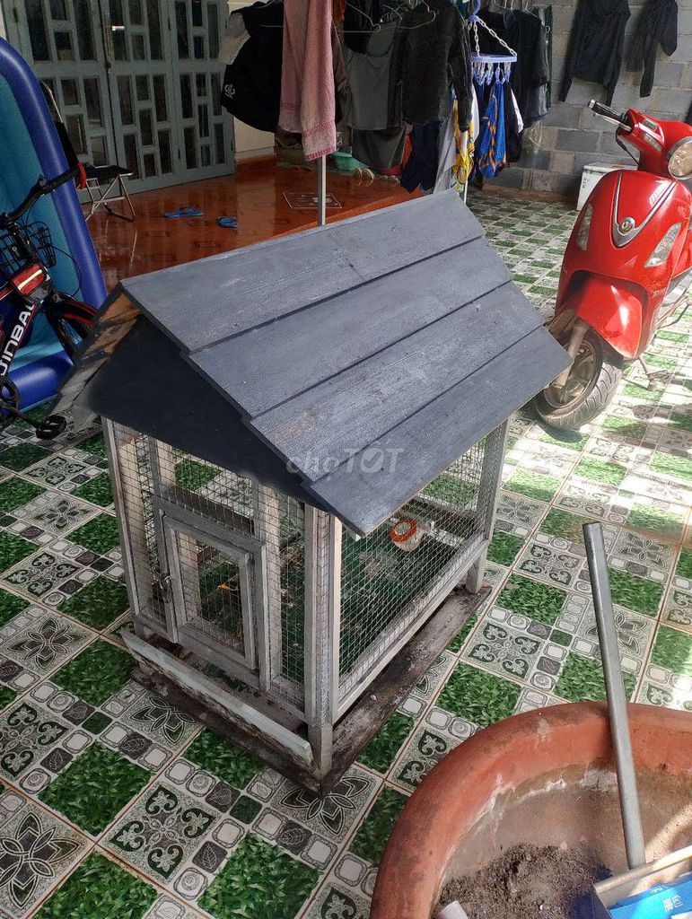 Chim sáo Gỗ Đen, Xám. Mua bán Chim tại Thành phố Buôn Ma Thuột Đắk Lắk được đăng bởi xuân nguyễn hình 1