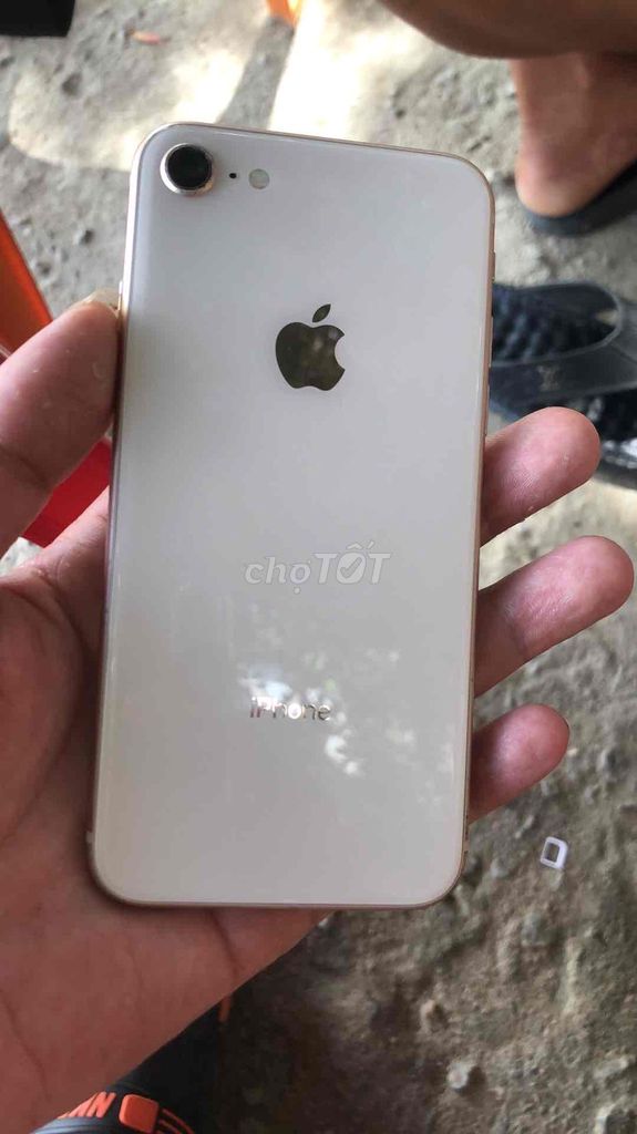 Apple iPhone 8 8GB Vàng Đã sử dụng. Mua bán Điện thoại tại Thành phố Huế Thừa Thiên Huế được đăng bởi nguyễn nam hình 1