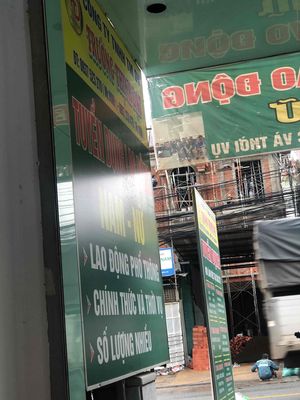 trung tâm dịch vụ việc làm Trường thịnh đạt logo