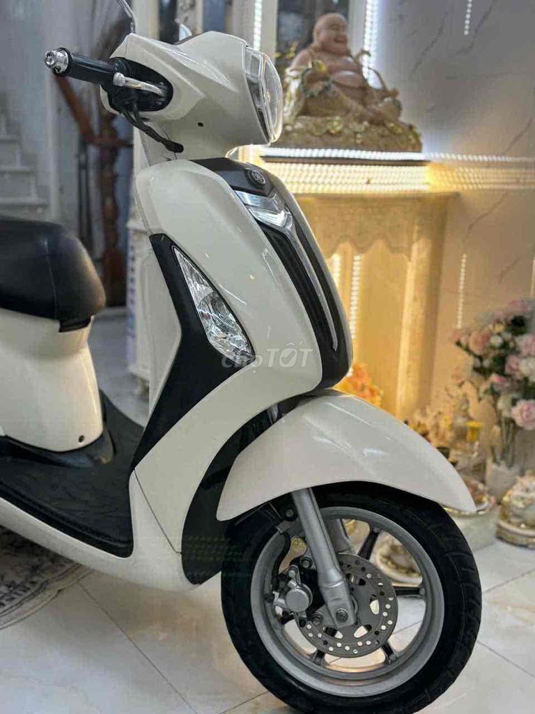 Grande Fi (Trùm mền) Bstp Đẹp mới 98% Zin. Mua bán Xe máy tại Quận 4 Tp Hồ Chí Minh được đăng bởi Huy hình 7