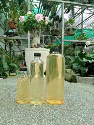 Dầu dừa nhà làm thủ công, dầu cực thơm và sánh min. Mua bán Đồ ăn, thực phẩm và các loại khác tại Quận 8 Tp Hồ Chí Minh được đăng bởi chị Thơ