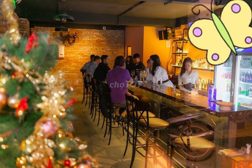 Mimosa Lounge Tuyển Dụng Hấp Dẫn Đi Làm Ngay