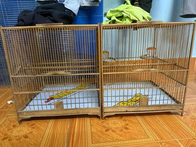 cặp lồng tre nhốt bổi. Mua bán Phụ kiện, Thức ăn, Dịch vụ tại Huyện Bình Chánh Tp Hồ Chí Minh được đăng bởi Thuận 