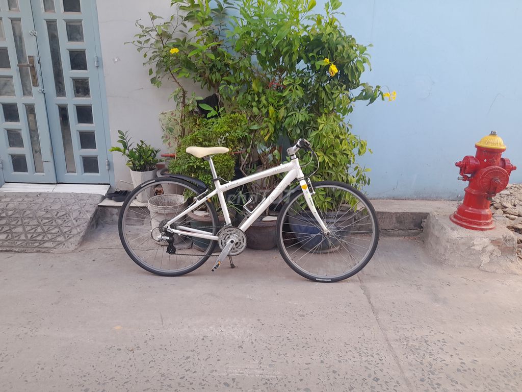 XE TOURING 700C GIANT  SUỒN NHÔM, SHIMANO / 2020