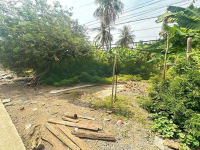 Hàng thơm, 310m2 đất có 170m2 thổ cư đường xe tải 832 chỉ 1.1 tỷ. Mua bán đất tại Huyện Tân Trụ Long An được đăng bởi Hùng Lê