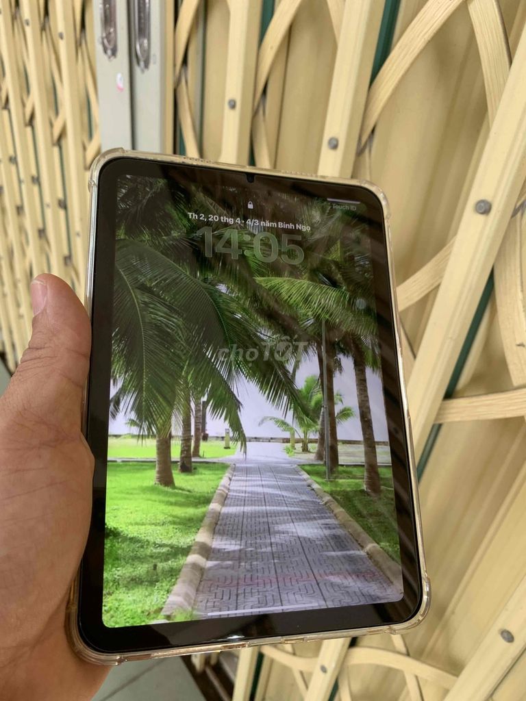 Apple iPad Mini 6 64GB Xám Wifi.Mới Nguyên Rin. Mua bán Máy tính bảng tại Quận Hải Châu Đà Nẵng được đăng bởi Huy Hoàng hình 1