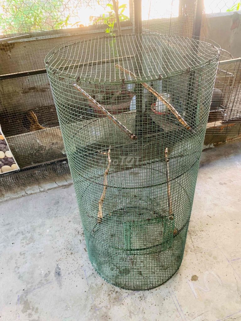 Lồng chim kim loại màu xanh lá. Mua bán Phụ kiện, Thức ăn, Dịch vụ tại Huyện Trảng Bom Đồng Nai được đăng bởi Anh Tuấn hình 1
