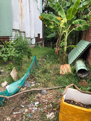 cần bán gấp lô đất