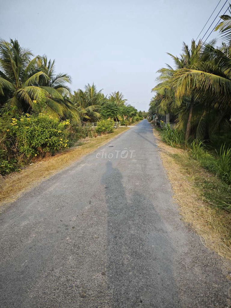 Cần bán lô đất ở bình ninh chợ gạo