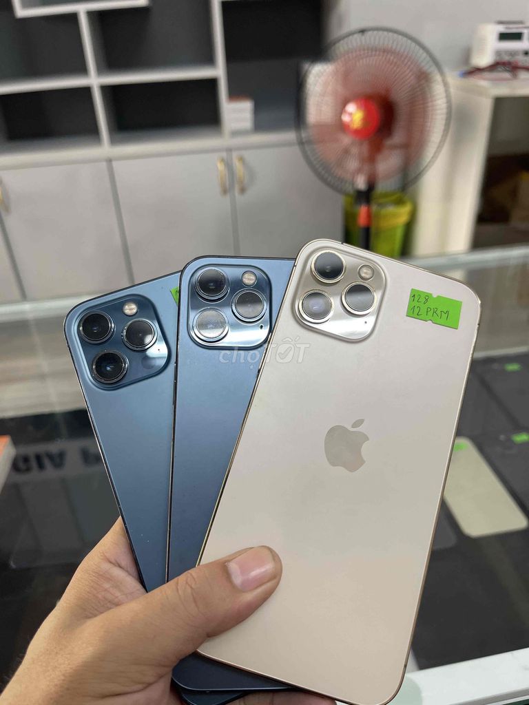 Apple iPhone 12 Pro Max Vàng, Xanh Đã sử dụng. Mua bán Điện thoại tại Thành phố Qui Nhơn Bình Định được đăng bởi Tùng Thanh Phan hình 1