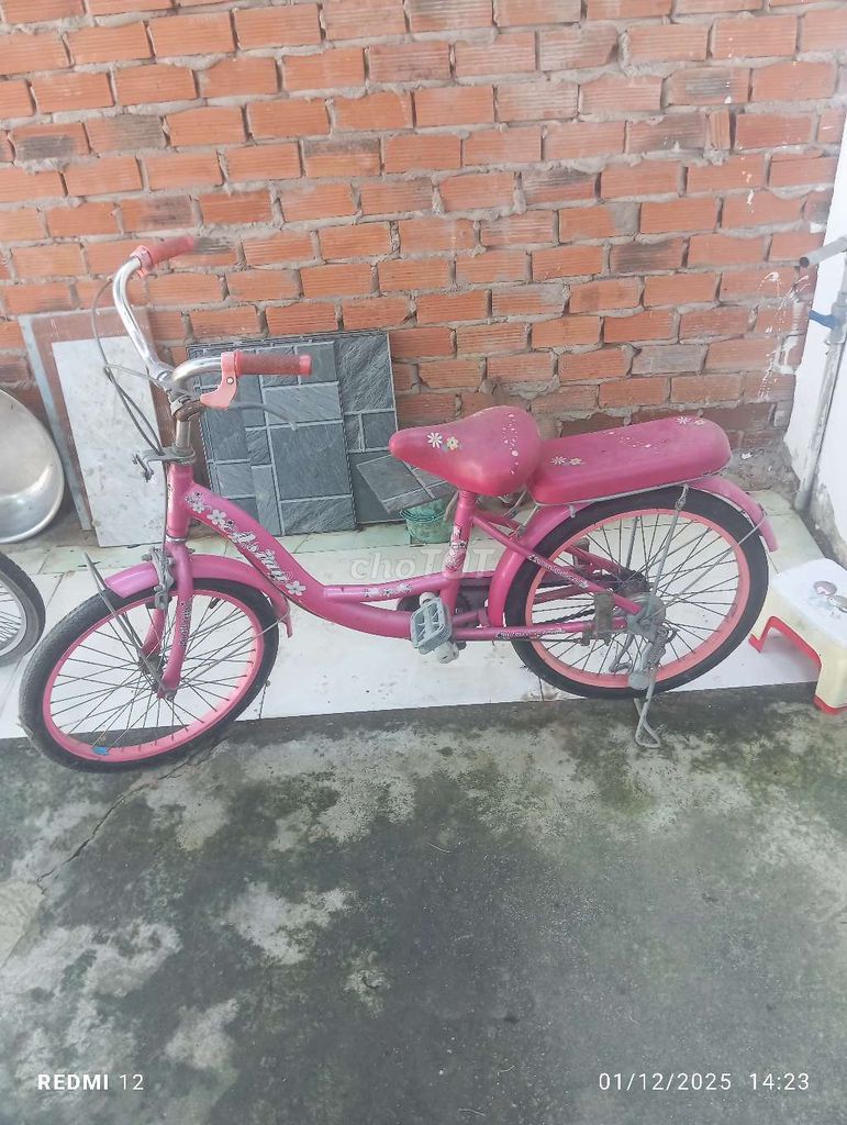 Xe đạp trẻ em. Mua bán Xe đạp tại Thị xã Bến Cát Bình Dương được đăng bởi Đại hình 4