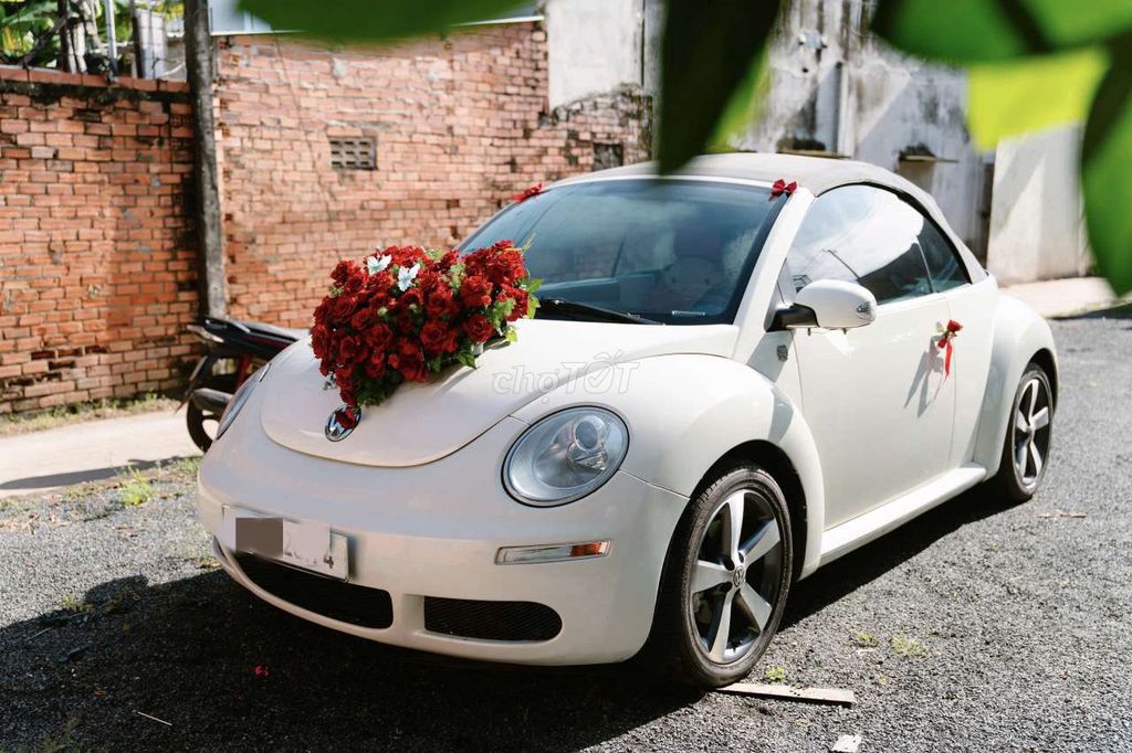 Volkswagen New Beetle mui trần. Mua bán Ô tô tại Quận 3 Tp Hồ Chí Minh được đăng bởi Thành Thành hình 7
