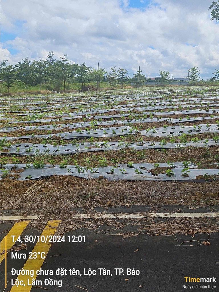 Chủ cần bán lỗ đất Park Hills Lộc Tân