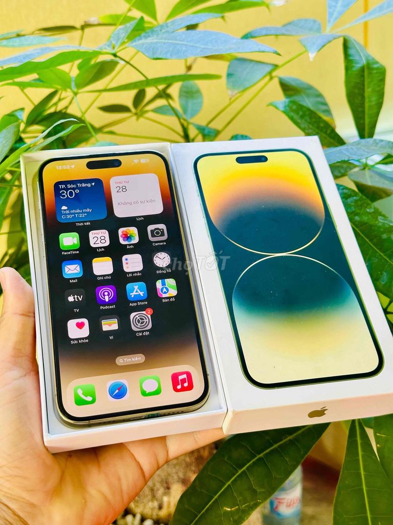Apple iPhone 14 Pro Max 256GB Vàng Gold. Mua bán Điện thoại tại Thành phố Sóc Trăng Sóc Trăng được đăng bởi Tàii Tâyy hình 1