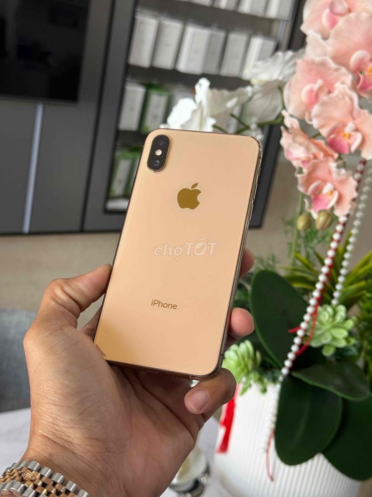 Apple iPhone XS 64GB Vàng. Mua bán Điện thoại tại Thành phố Cà Mau Cà Mau được đăng bởi Thanh phong  hình 1