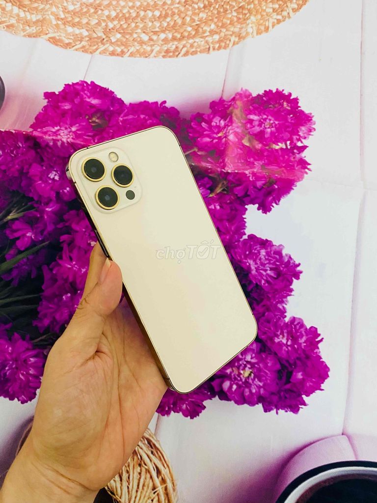 Apple iPhone 12 Pro Max Vàng Đã sử dụng. Mua bán Điện thoại tại Thành phố Huế Thừa Thiên Huế được đăng bởi Chuyên Hàng Công Ty hình 1