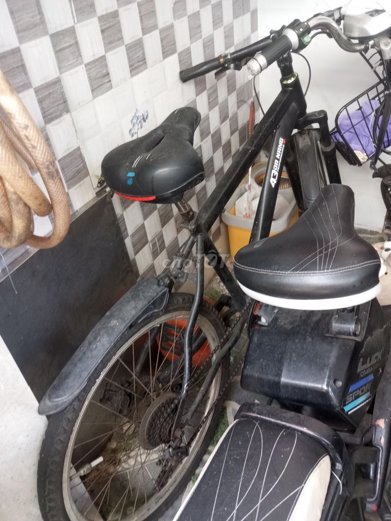 Bán xe đạp. Mua bán Đồ thể thao, Dã ngoại tại Quận Cẩm Lệ Đà Nẵng được đăng bởi Huu Quang cao hình 1