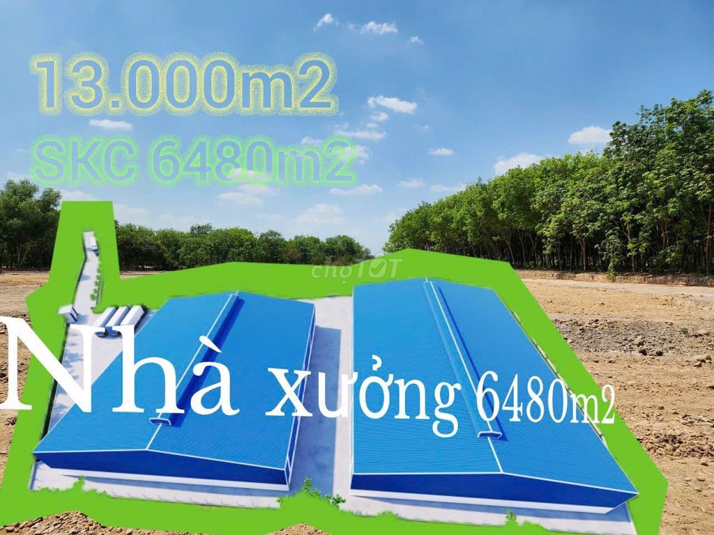 BÁN XƯỞNG 32000m2 HUYÊN BẦU BÀNG .BINH DƯƠNG   GIÁ RẺ