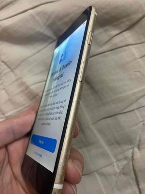 Apple iPhone 6s Vàng