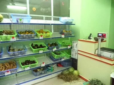 CẦN TUYỂN KẾ TOÁN VĂN PHÒNG