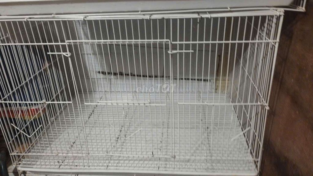 Lồng chim kim loại 60x40x40 cm. Mua bán Phụ kiện, Thức ăn, Dịch vụ tại Quận Đống Đa Hà Nội được đăng bởi Thuan hình 1