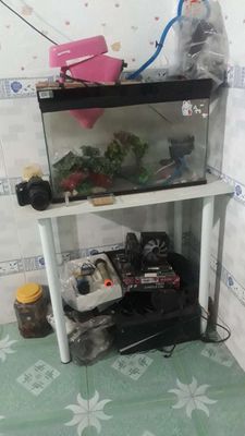 bể cá 30x55x350 kèm bàn kèm pk. Mua bán Phụ kiện, Thức ăn, Dịch vụ tại Thành phố Biên Hòa Đồng Nai được đăng bởi Đức