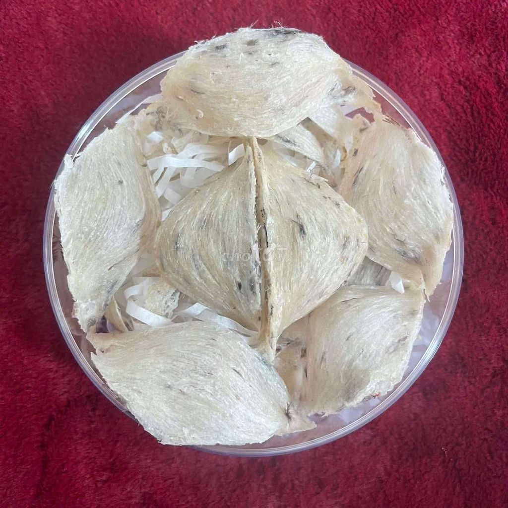 Tổ yến Việt Nam 700gr ít lông mỏng bụng. Mua bán Đồ ăn, thực phẩm và các loại khác tại Huyện Bình Chánh Tp Hồ Chí Minh được đăng bởi HỒNG ÂN YẾN hình 1