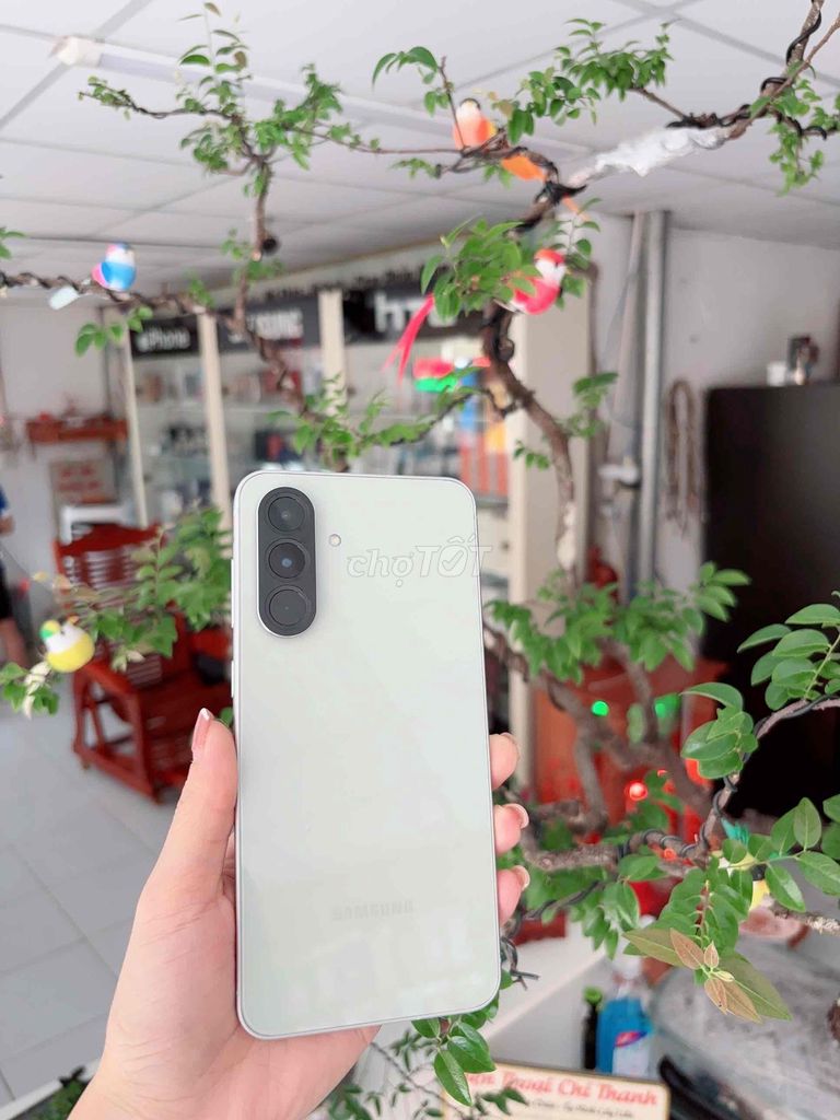 Samsung A56 5G , bảo hành chính hãng 11 tháng. Mua bán Điện thoại tại Huyện Nhơn Trạch Đồng Nai được đăng bởi Điện thoại Chí Thanh hình 1