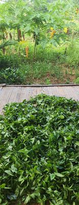 Chuyên sỉ lẻ chè sạch, thuần chay Thái Nguyên. Mua bán Đồ ăn, thực phẩm và các loại khác tại Huyện Phú Lương Thái Nguyên được đăng bởi Hồ Ngọc Huyền