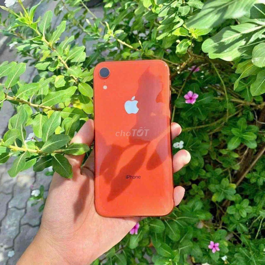 ❌IPHONE XR 64GB 128GB❌