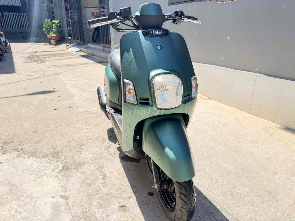 cần bán Cuxi Xanh rêu biển 43