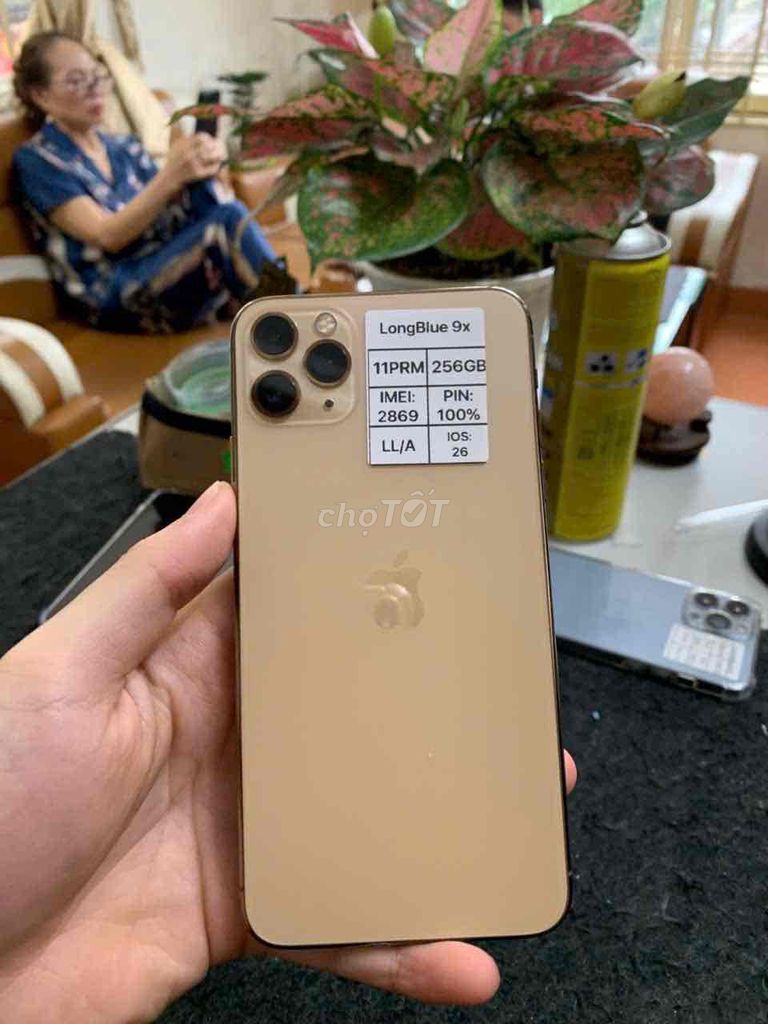 11prm 256gb gold đẹp nét. Mua bán Điện thoại tại Quận Cầu Giấy Hà Nội được đăng bởi Long blue 9x hình 1