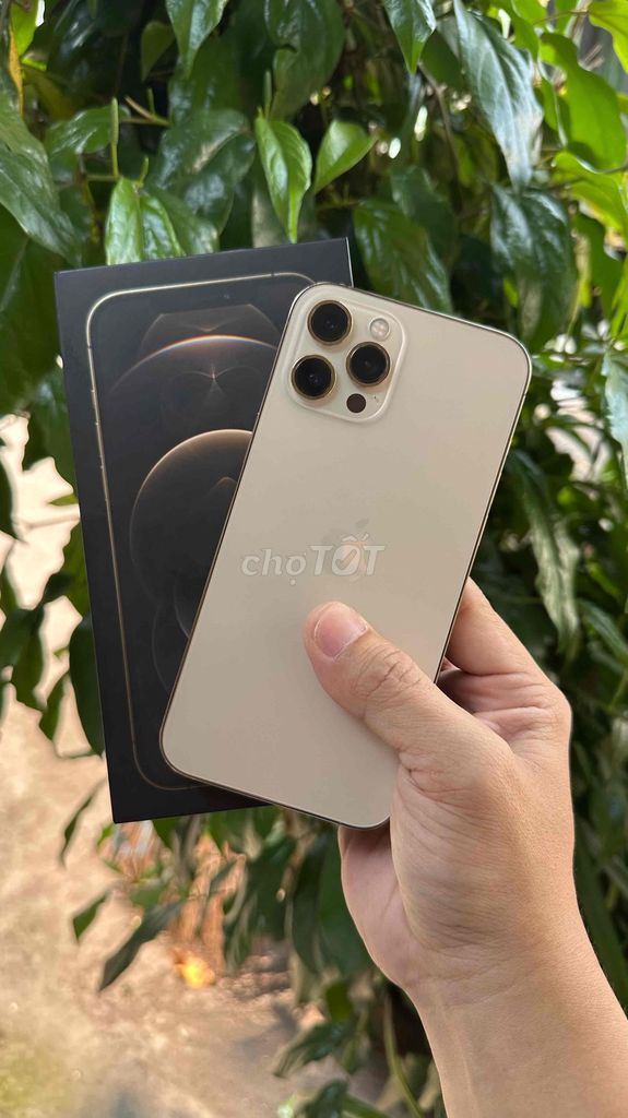 Apple iPhone 12 Pro Max 128GB Vàng VN/A. Mua bán Điện thoại tại Quận 12 Tp Hồ Chí Minh được đăng bởi Hoàng hình 1