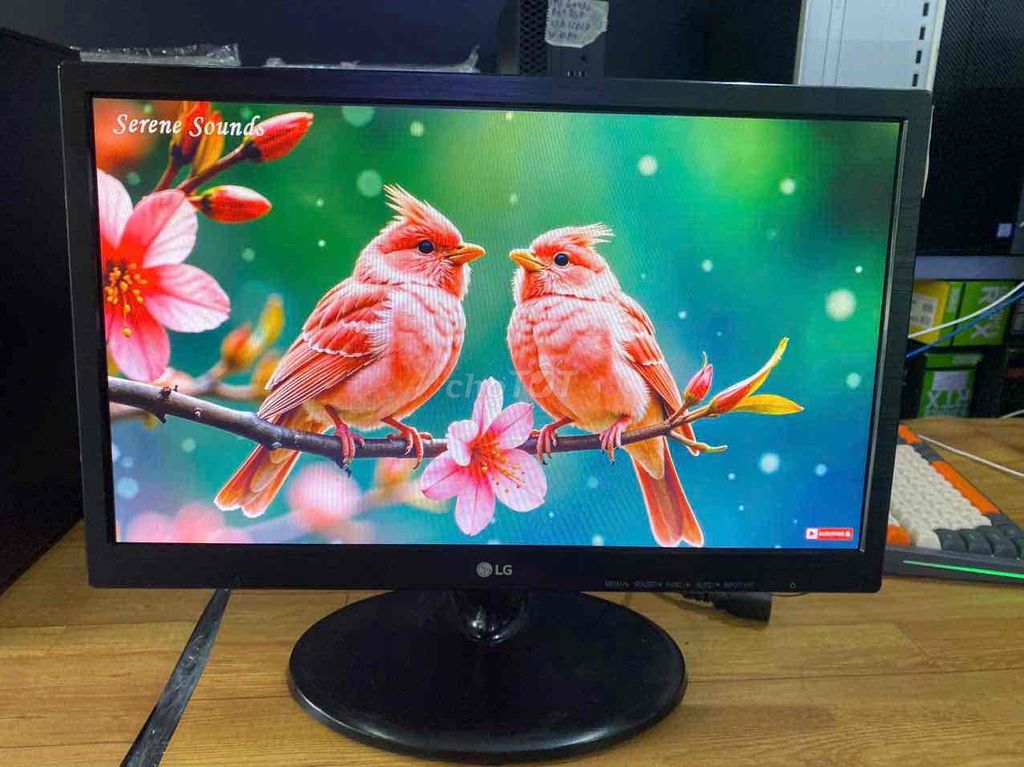 CHIẾC MÀN HÌNH 19IN LG LED BAO NÉT CHẤT LƯỢNG. Mua bán Phụ kiện (Màn hình, Chuột...) tại Quận Phú Nhuận Tp Hồ Chí Minh được đăng bởi ngọc trang hình 4