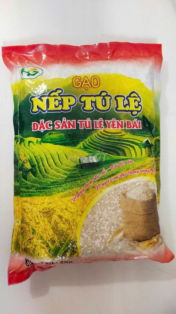 Nếp Tú Lệ đặc sản vùng Tây Bắc, dẻo thơm túi 2kg