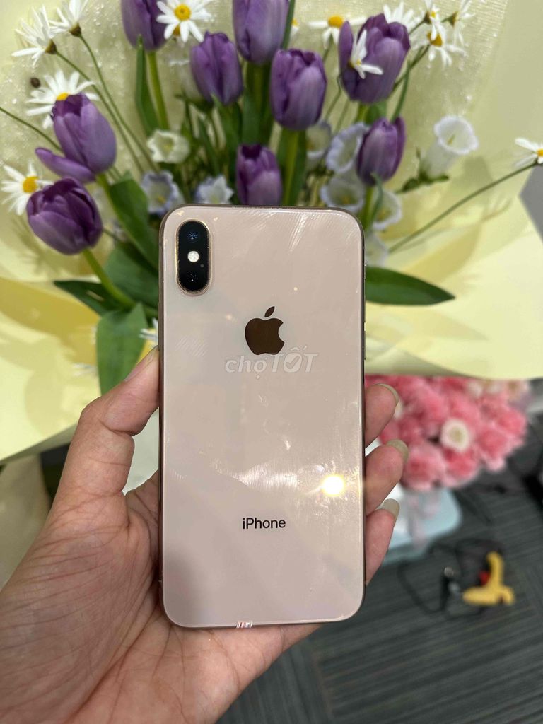 Apple iPhone XS 64GB Vàng hồng. Mua bán Điện thoại tại Quận Cầu Giấy Hà Nội được đăng bởi Nguyễn Dũng hình 1