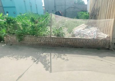 116m² Đất Quang Minh, Mê Linh, Hà Nội - 3.x Tỷ