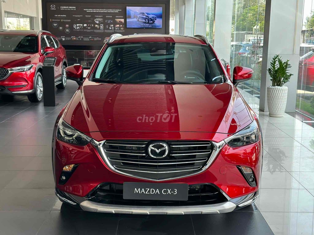 Ảnh số 2