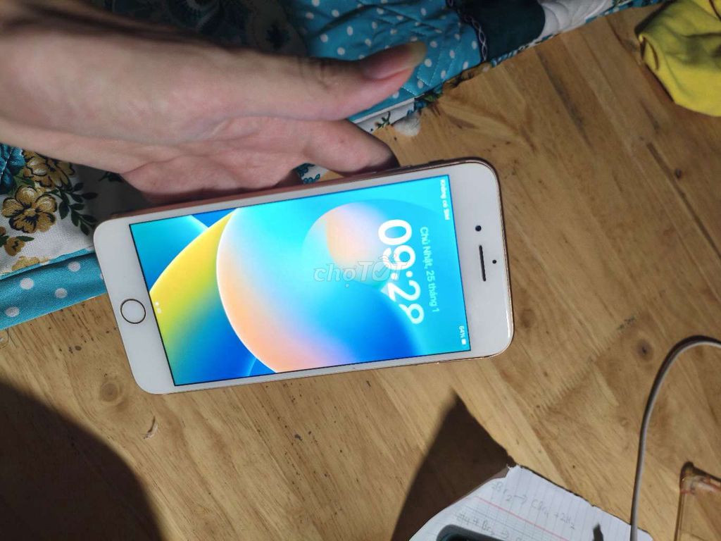 iphone 8 pl 64gb có fixx. Mua bán Điện thoại tại Thành phố Thủ Đức Tp Hồ Chí Minh được đăng bởi Đăng Giang hình 1