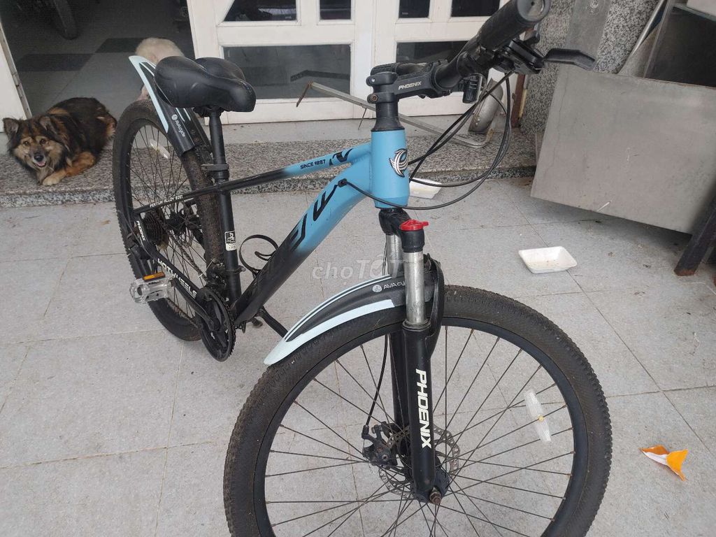 Xe đạp địa hình Phoenix Nhôm 6061. Mua bán Xe đạp tại Thành phố Thủ Đức Tp Hồ Chí Minh được đăng bởi PhamvanTri hình 2