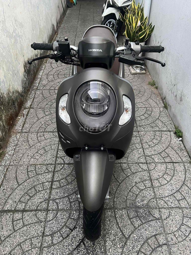 scoopy bs 65 zin cực đẹp