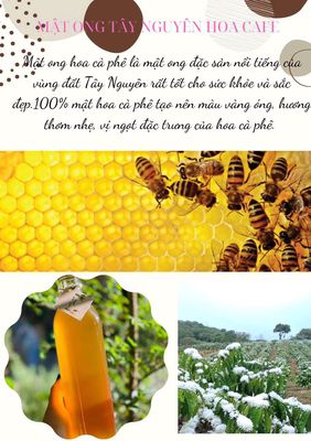 Bán mật ong hoa cà phê đak lak.