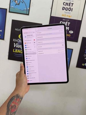 Apple iPad Pro M4 13 inch 512GB Like New 99%