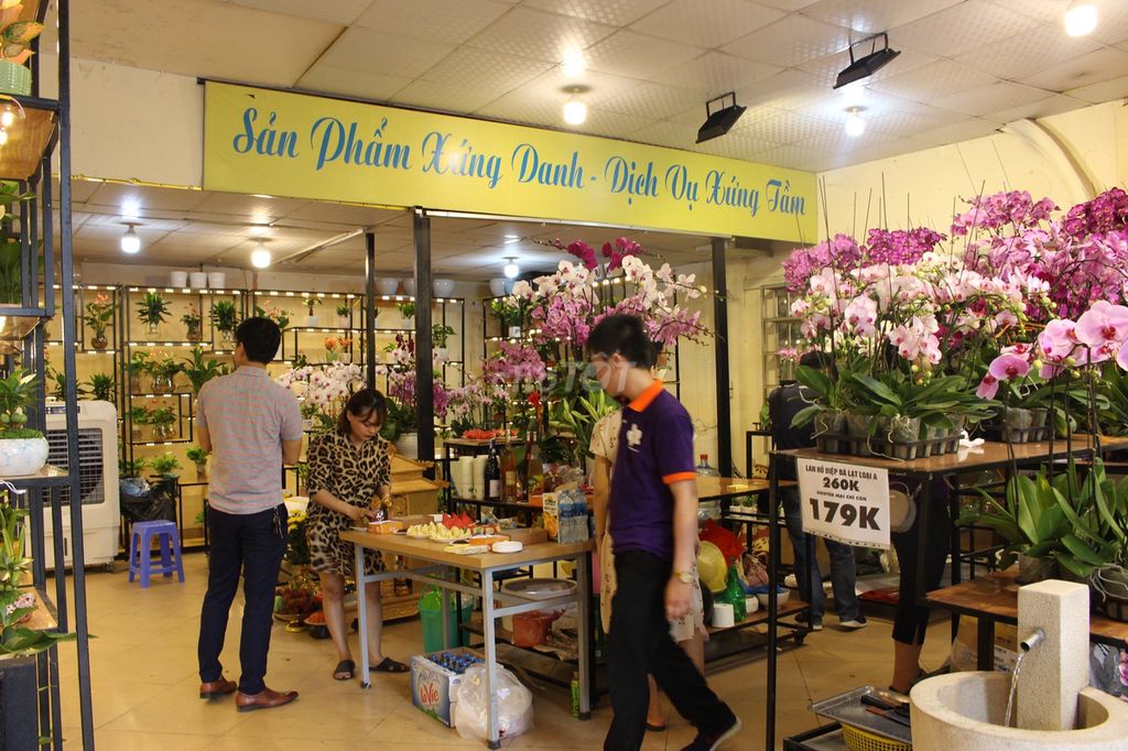 Bán hàng tư vấn❤️chốt đơn Hoa lan Cây cảnh