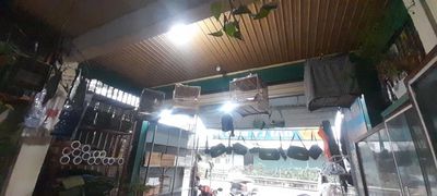 Chim chào mào. Mua bán Chim tại Huyện Phú Xuyên Hà Nội được đăng bởi Thinh Phu