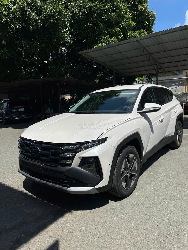Ảnh số 2