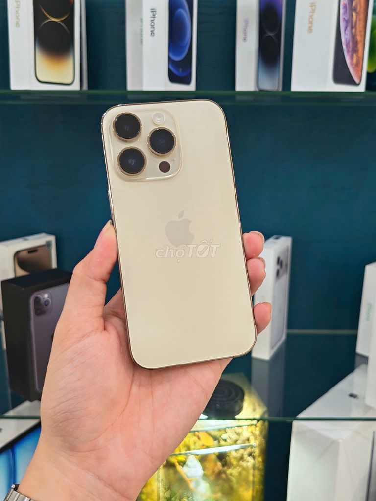 iPhone 14 Pro 128GB Vàng Quốc Tế Zin Áp Bản 2 Esim. Mua bán Điện thoại tại Quận Phú Nhuận Tp Hồ Chí Minh được đăng bởi TYMO Việt Nam hình 1