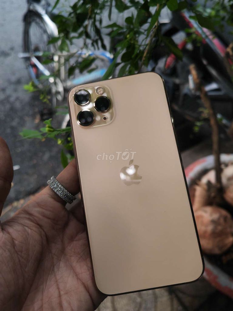 iPhone 11 Pro Vàng. Mua bán Điện thoại tại Quận Tân Phú Tp Hồ Chí Minh được đăng bởi Hải hình 1