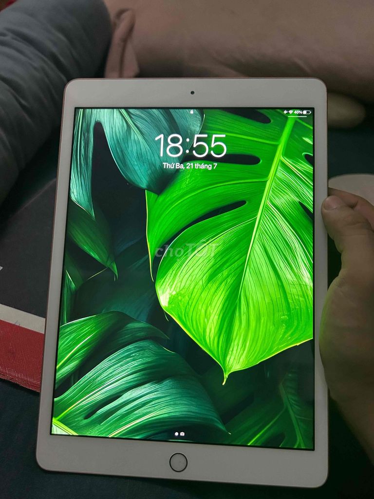 Apple iPad (thế hệ 8) 32GB Vàng hồng ios 15. Mua bán Máy tính bảng tại Quận Cẩm Lệ Đà Nẵng được đăng bởi Cường Nguyễn hình 1