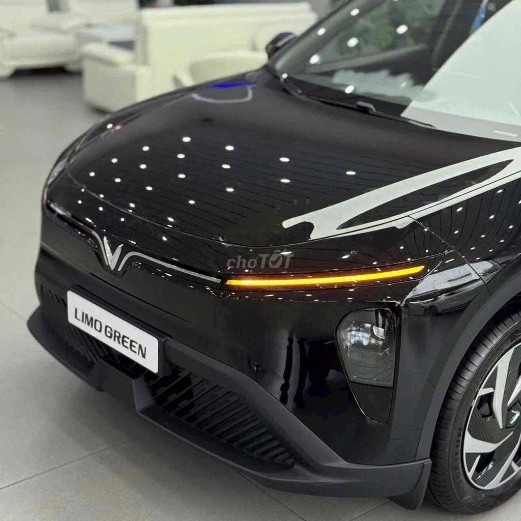 Vinfast Limo Green 2025. Mua bán Ô tô tại Huyện Bình Chánh Tp Hồ Chí Minh được đăng bởi Quốc Nhẫn hình 3